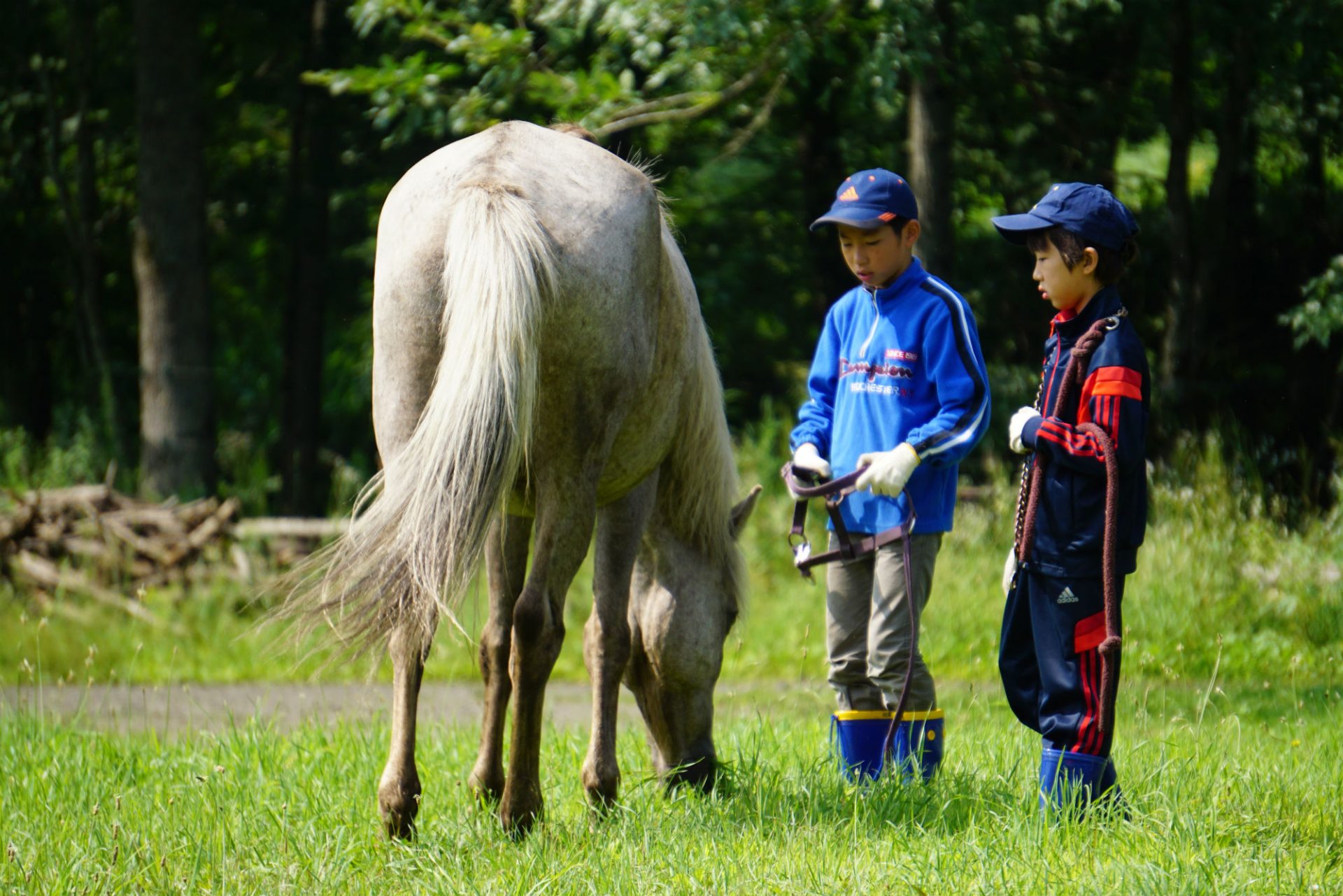 小中学生と対象とした「牧場暮らしキャンプ」を北海道で実施