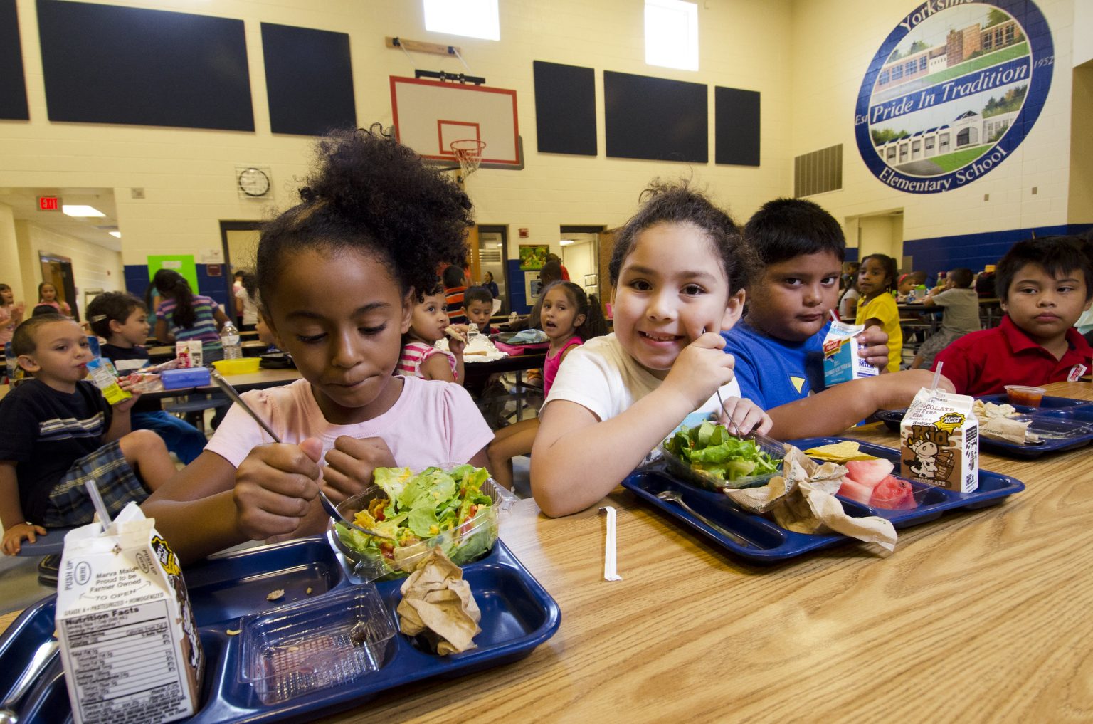 what-schools-serve-for-lunch-around-the-world